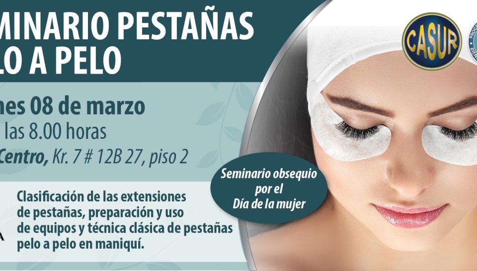 20190225-seminario-pestanas