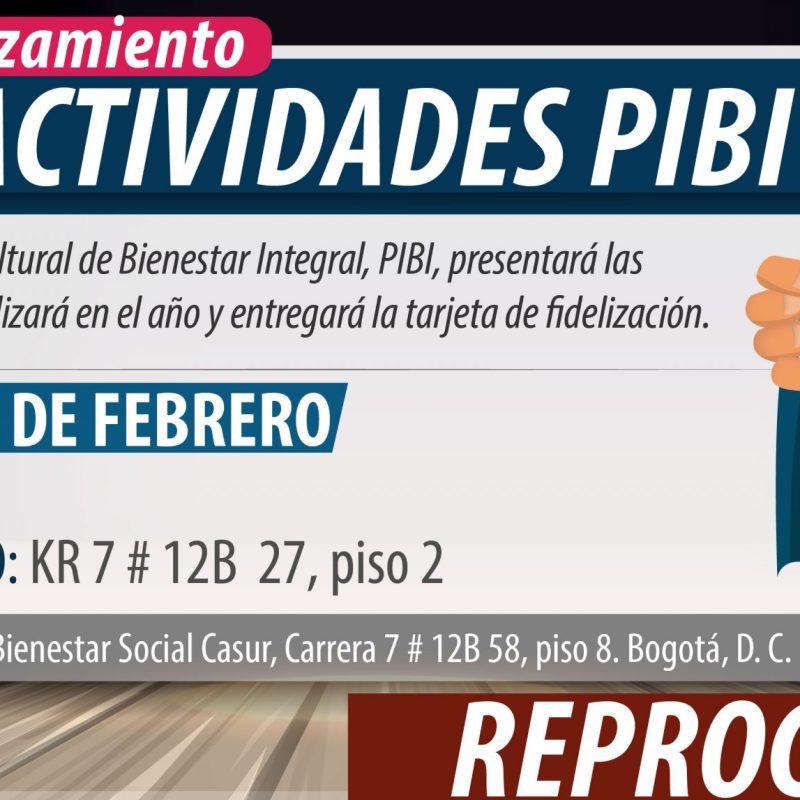 20200218-lanzamiento-pibi_portal