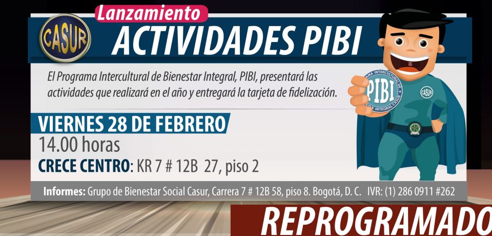20200218-lanzamiento-pibi_portal