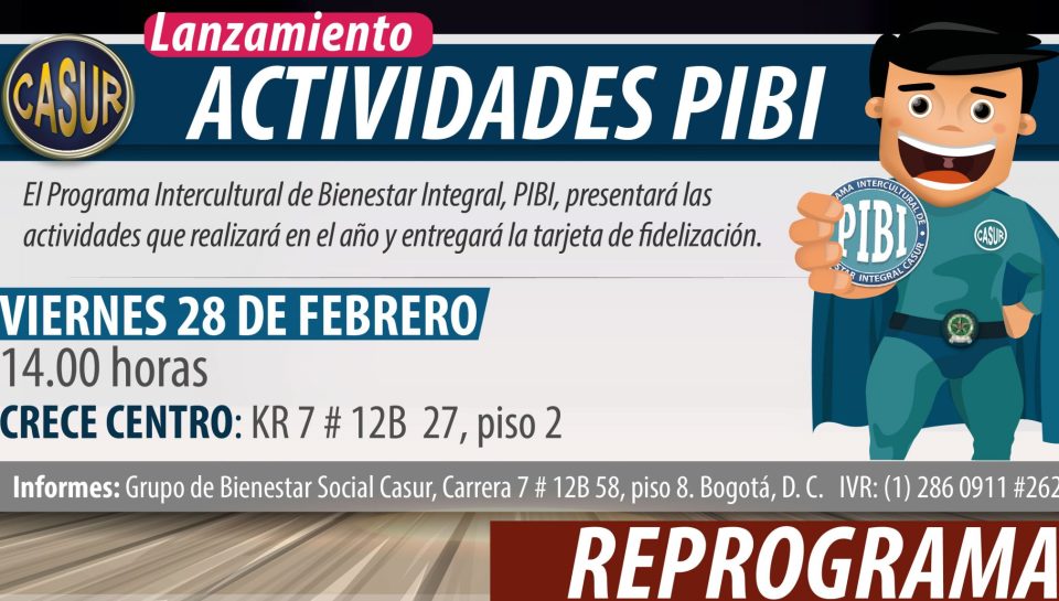 20200218-lanzamiento-pibi_portal