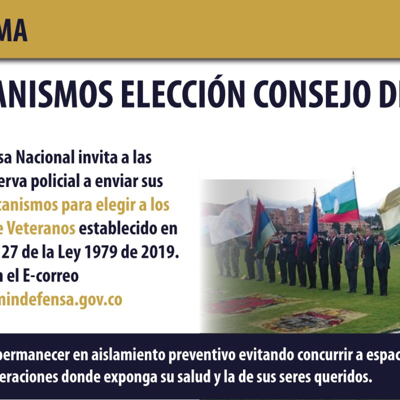 Consejo-de-Veteranos-Web