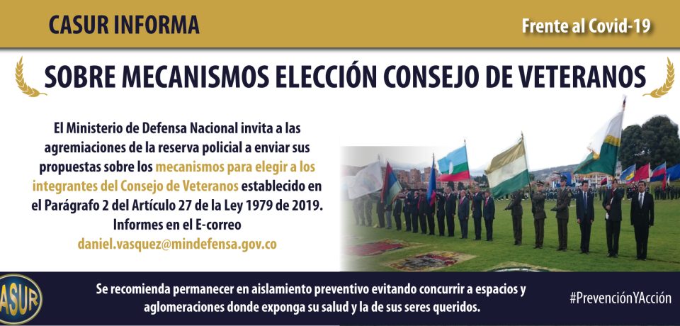 Consejo-de-Veteranos-Web