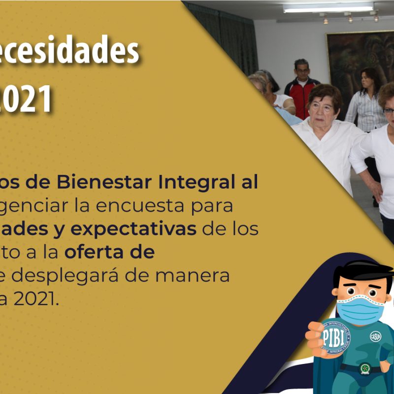Encuesta-necesidadesWeb2