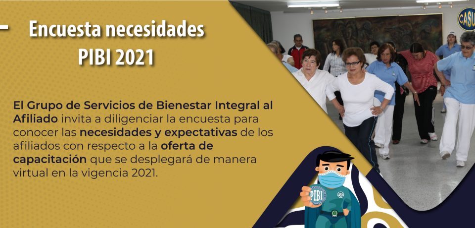 Encuesta-necesidadesWeb2