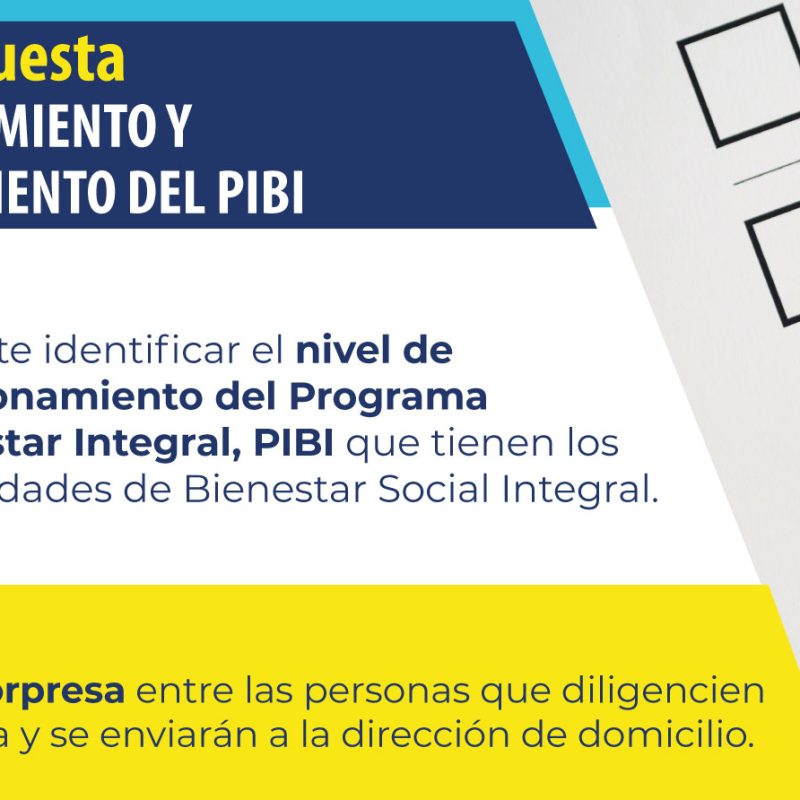 EncuestaPIBIWeb