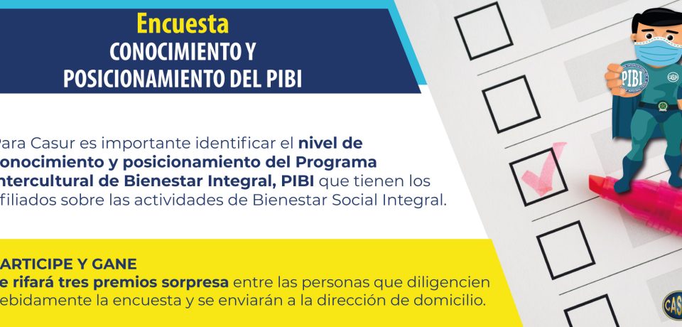 EncuestaPIBIWeb