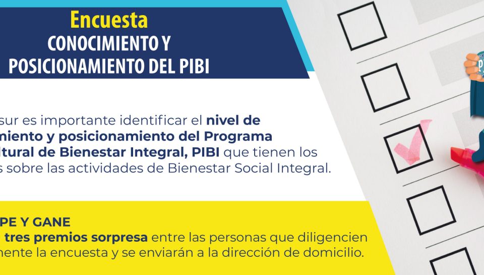 EncuestaPIBIWeb