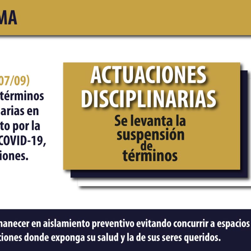 LevantaSuspension LevantaSuspension