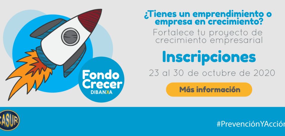 PIEZAS-CASUR-Fondo-Crecer-banner