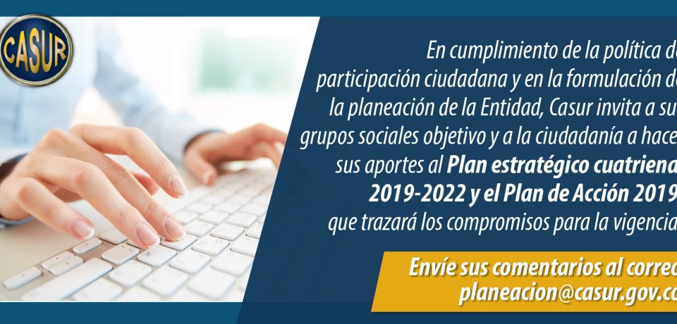 Participacion-Plan-Estrategico-y-Plan-de-Accion