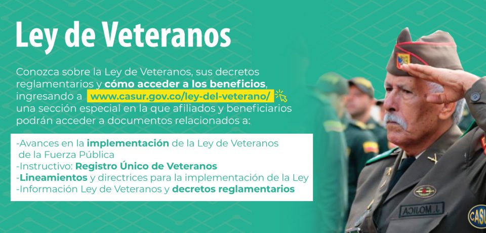 SobreLeyVeteranoWeb