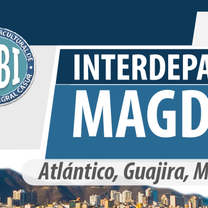 imagen-19