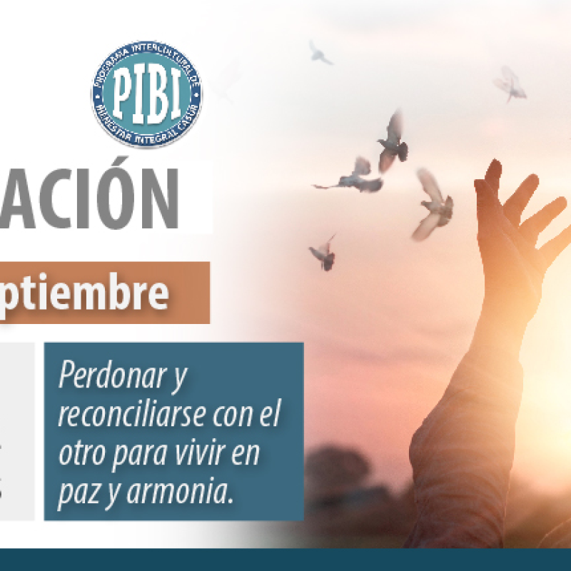imagen-39