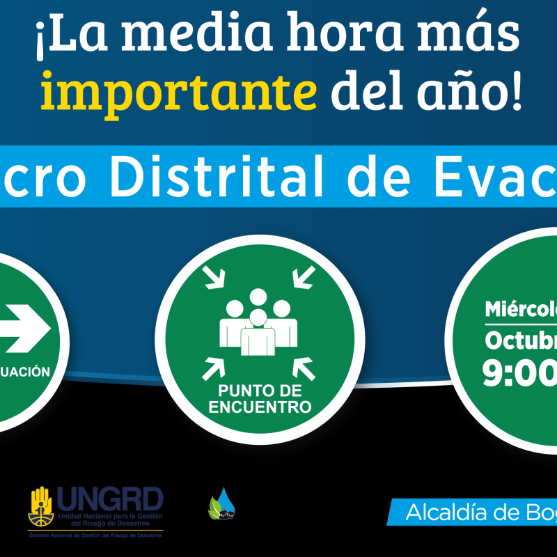 imagen-43