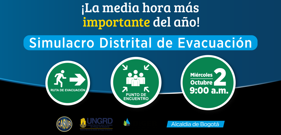 imagen-43
