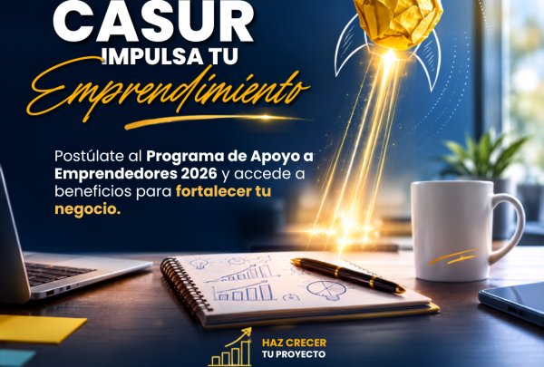 20260826 Apoyo emprendedores portal